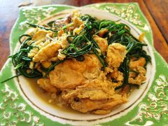 沙葱炒蛋-沙洲胡杨焖饼