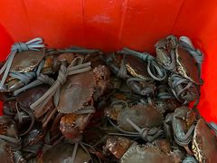-老财炒饭·熟地蟹·冬瓜蟹