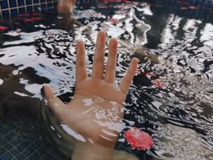 -碧桂园润杨溪谷温泉酒店