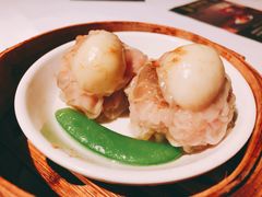 -新同乐鱼翅酒家(美丽华店)