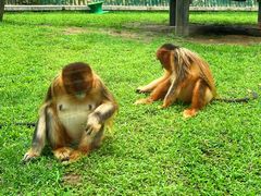 -大连森林动物园