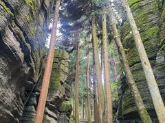 -梭布垭石林景区