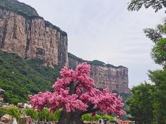 -河南宝泉旅游区