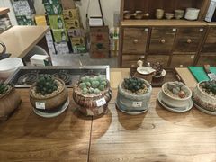 -荣记歡喜·馄饨铺(开发区振华购物中心店)