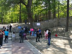 -阳台山自然风景区