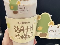-猫的魔法密林(衣裳街店)