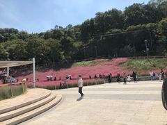 -牛岗山公园