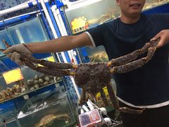 -蚝专家(北滘店)