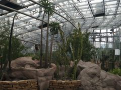 -北京植物园-展览温室