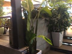 -813芭依珊 BAESAn(皇冠十畝地店)