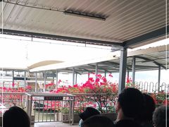 -厦门邮轮中心厦鼓码头(轮渡站)