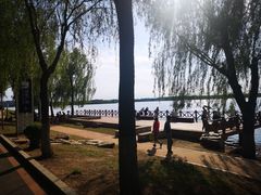 -丁香湖公园