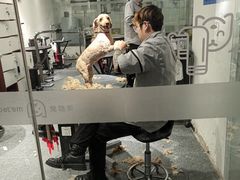 -宠物家(双井店)
