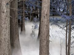 -东湖落雁景区