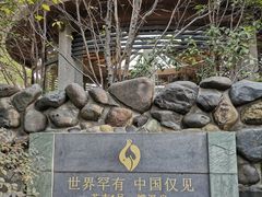 -张家港金凤凰度假村温泉