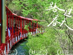 -双龙峡