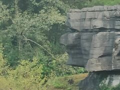 -梭布垭石林景区