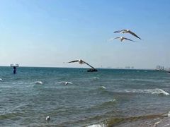 -老虎石海上公园