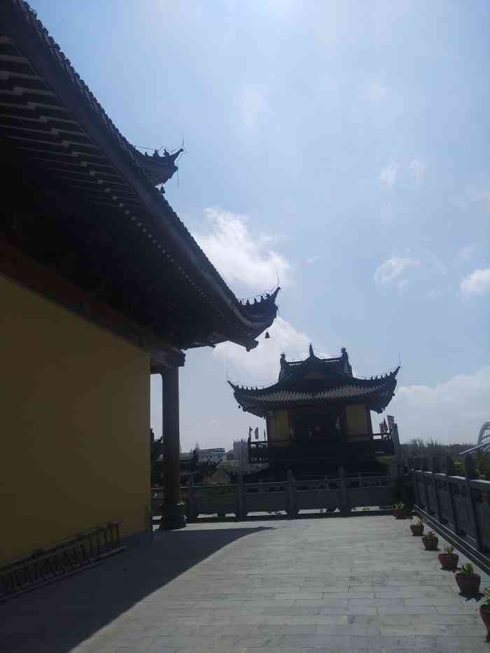 太平禅寺菩提素图片