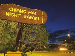 -清迈夜间动物园
