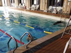 -碧桂园凤凰城酒店(南京店)