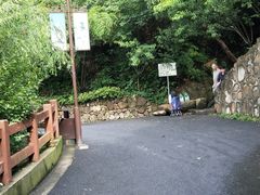 -杭州半山国家森林公园