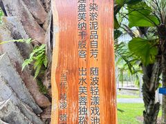 -中国科学院西双版纳热带植物园