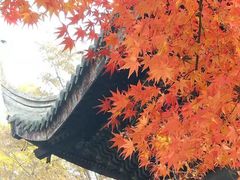 -无锡惠山寺