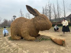 -嘉北郊野公园