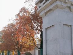 -徐州龟山景区