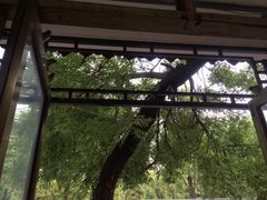 -老济南药膳把子肉(周公祠街店)