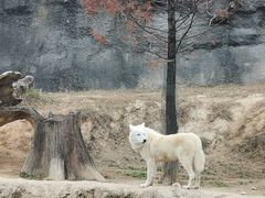 -杭州野生动物世界