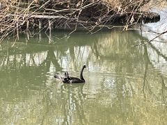 -长兴太湖图影湿地文化园