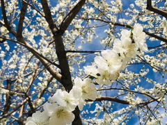 -永定河休闲森林公园