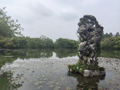 -西湖游船