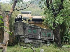-宁波野生动物园