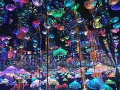 -深圳独角兽星空艺术馆
