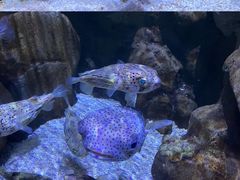 -成都浩海立方海洋公园