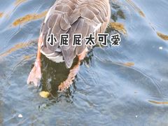-昆明动物园