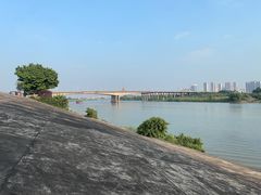 -王借岗森林公园