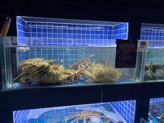 水产区-徐记海鲜(汉城湖|太奥店)