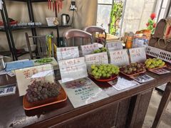 -马陆小张葡萄园农家乐