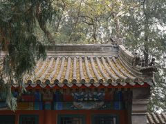 -香山公园