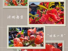 -陶然亭公园