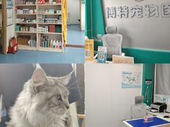 -博特宠物医院24h犬猫全科.骨科·异宠