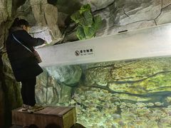 -泉城欧乐堡海洋极地世界