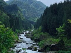 -瓦屋山景区