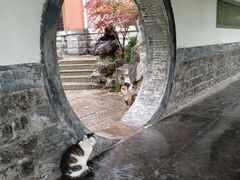 -济南大明湖景区