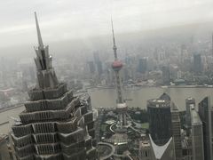 -上海柏悦酒店·世纪100牛排馆