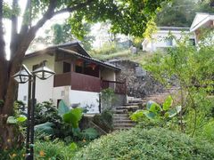 -雁南飞茶田景区
